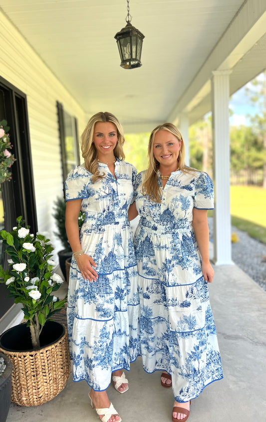 Blue Toile Maxi Dress
