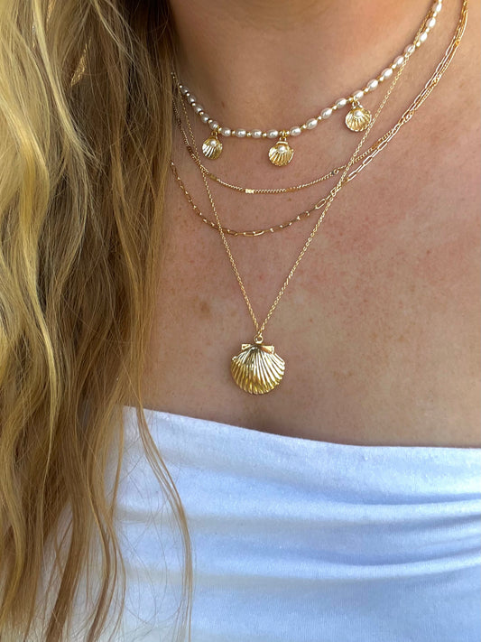Seashell Charm Drop Necklace