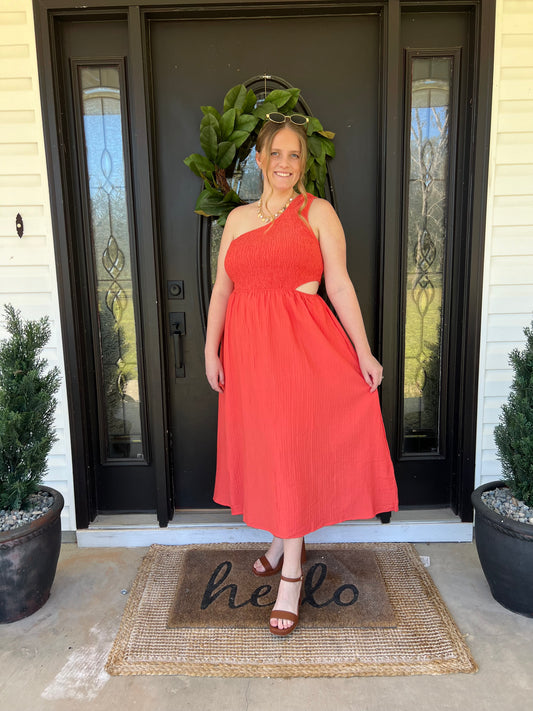 Taylor Plus Midi Dress